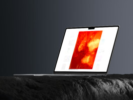 L-Mockups_011 StudioCitrus