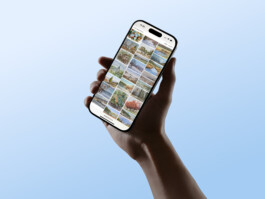 AA-Mockups_020 StudioCitrus