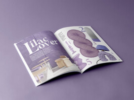 Free-Open-A4-Magazine-Mockup-2 StudioCitrus