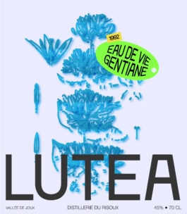 GentianaLutea_Board_Plan de travail 1 copie StudioCitrus