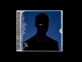 NaoumLesVraiesCouleurs_ProjectThumbnail StudioCitrus