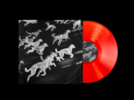 1-Vinyl-Record-Mockup StudioCitrus