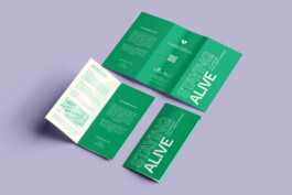 DL_Trifold_DL_Flyer_Mockup_4 StudioCitrus