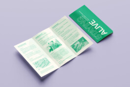 DL_Trifold_DL_Flyer_Mockup_5 StudioCitrus