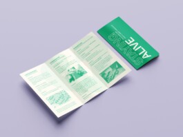 DL_Trifold_DL_Flyer_Mockup_5 StudioCitrus