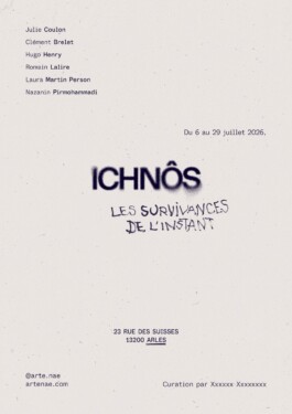 Arles Poster V2.0 StudioCitrus